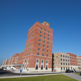 An image of accommodation buildings on Bay Campus.