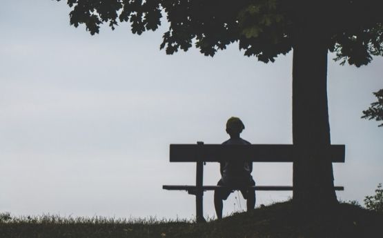 a boy sitting on a bench under a tree