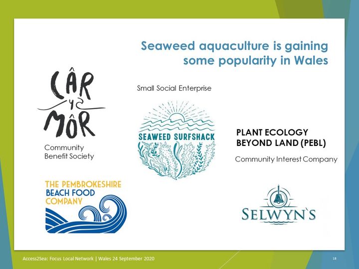 Seaweed aquaculture is gaining some popularity in Wales