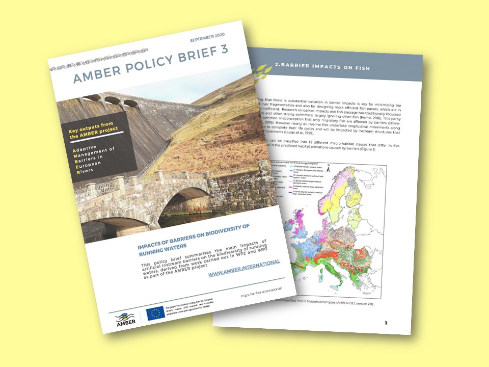 Cover of Policy brief and page sample 