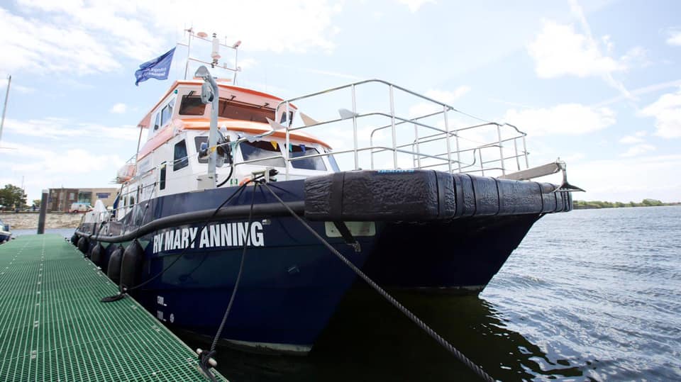 Mary Anning Cardiff Dock 