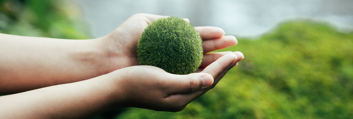 Holding a green world