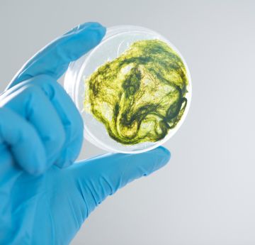 Image of Microalgae biodefence equipment in a laboratory 