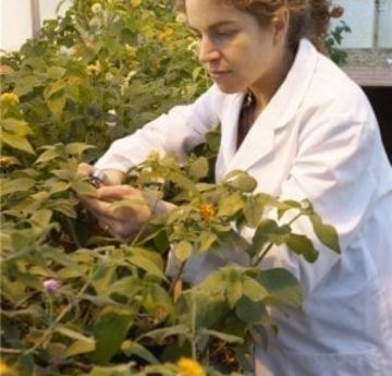 Profile picture - Djamila Djeddour