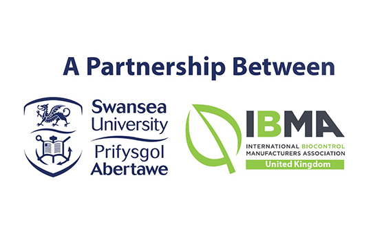 image of ibma logo and swansea uni logo