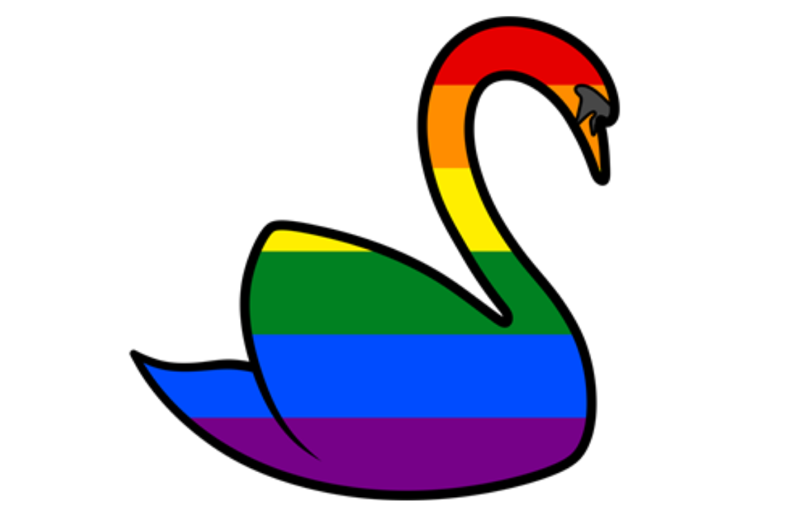 Rainbow Swan