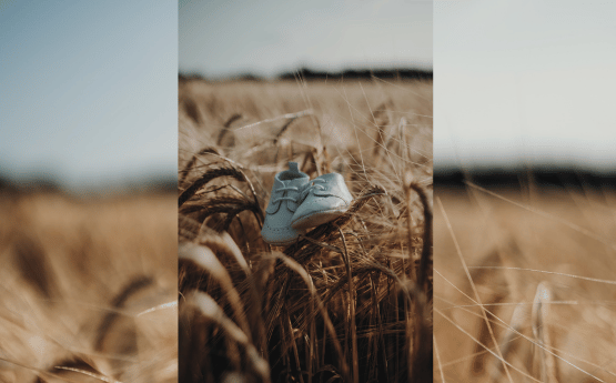 A small child's pair of shoes in a wheat field.