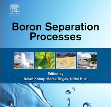 Boron Separation Processes Book Cover