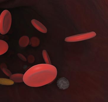 Red blood cells: Pixabay image
