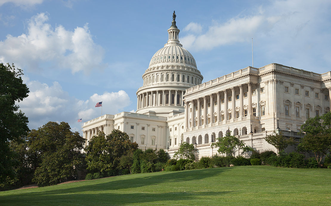 US Capitol Building image