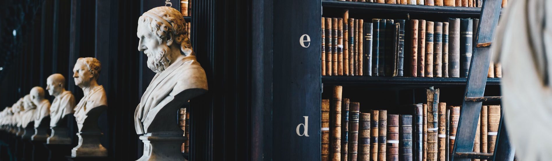 An image of book shelves