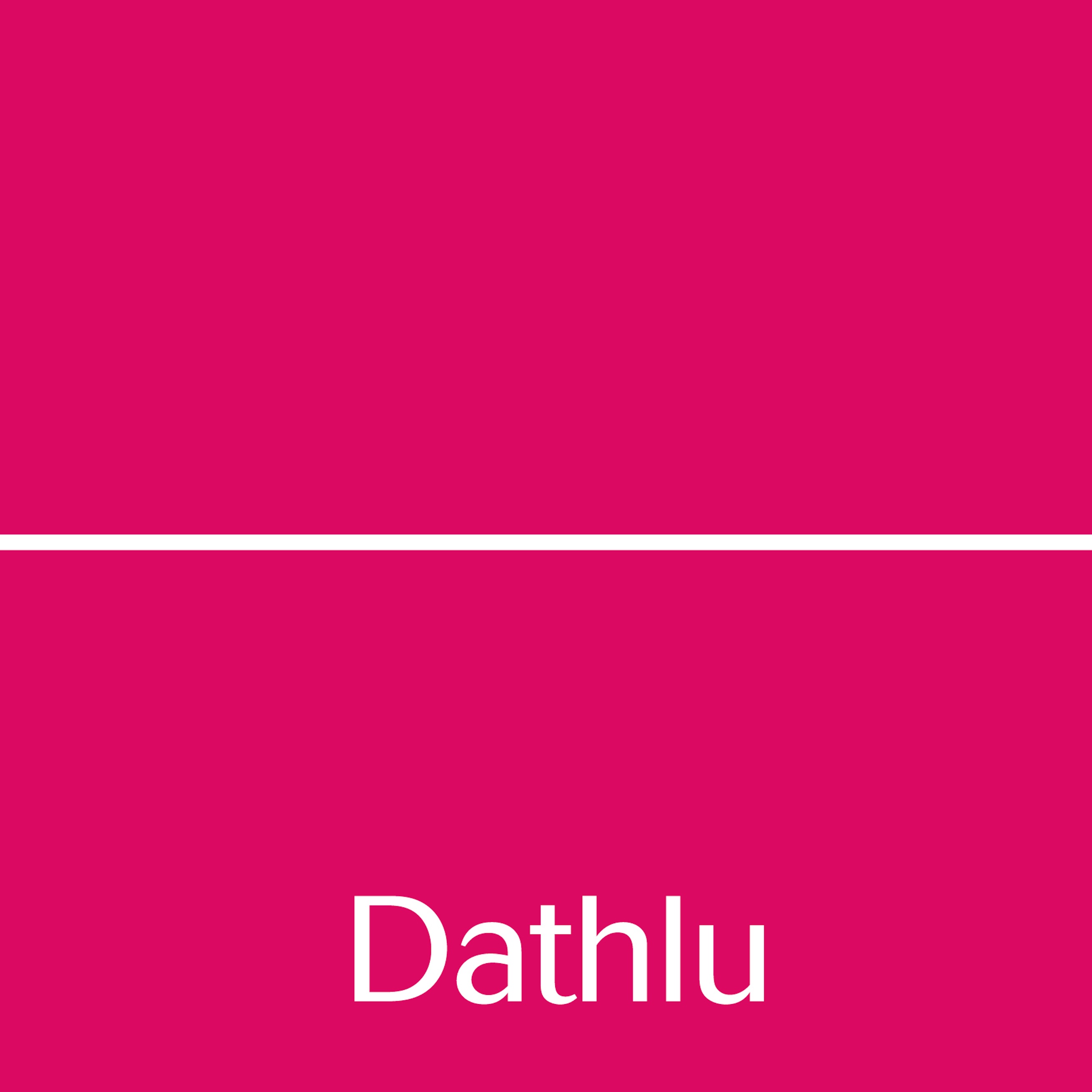 Logo Dathlu