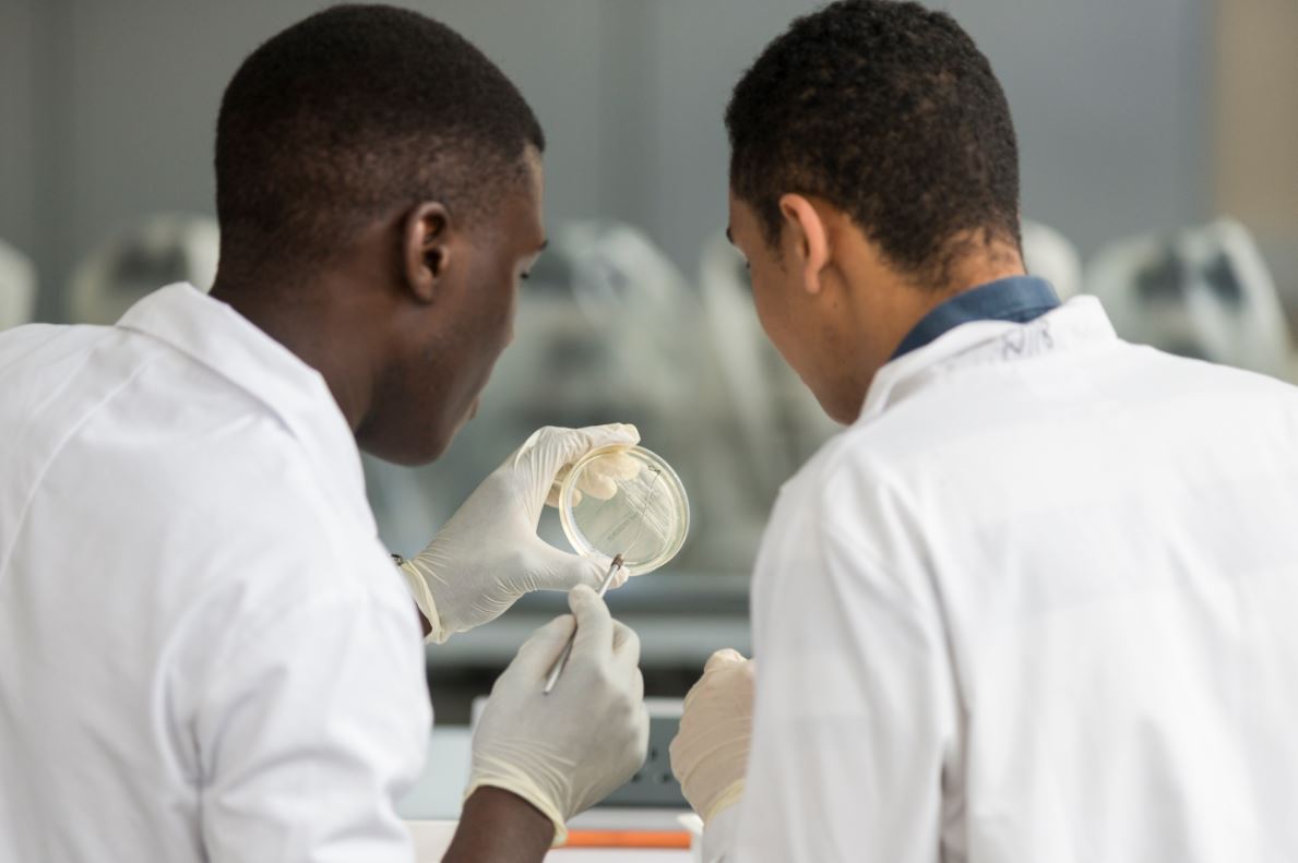 KS5 Students study in a laboratory