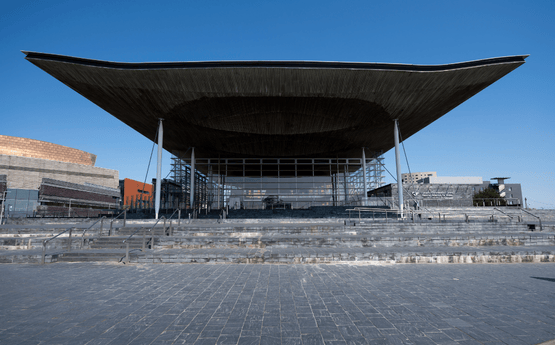Y Senedd. 