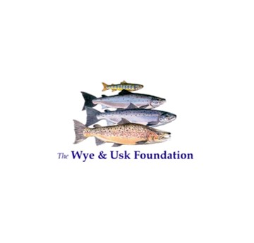 Logo Sefydliad Gwy ac Wysg