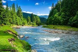 Afon