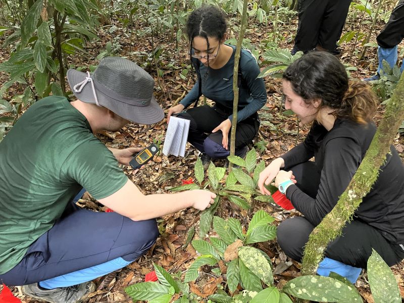 Students in Borneo