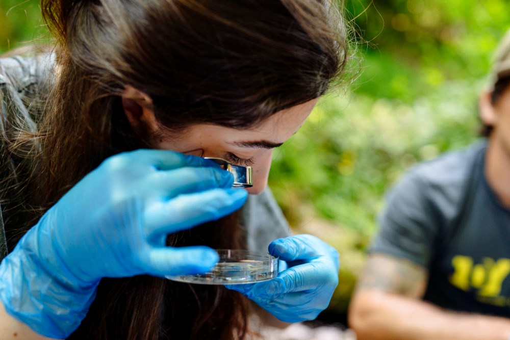 Students in Parkmill