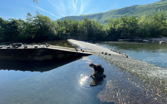 Acoustic tracking of juvenile and adult sea trout in South Wales