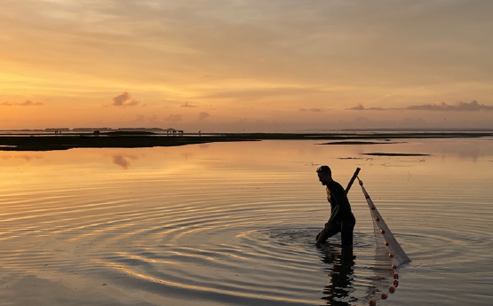 Investigations of finfish production in saltmarsh in South West Wales