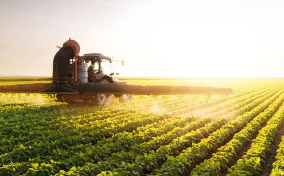 BioHYB Cynhyrchion Naturiol gweler 