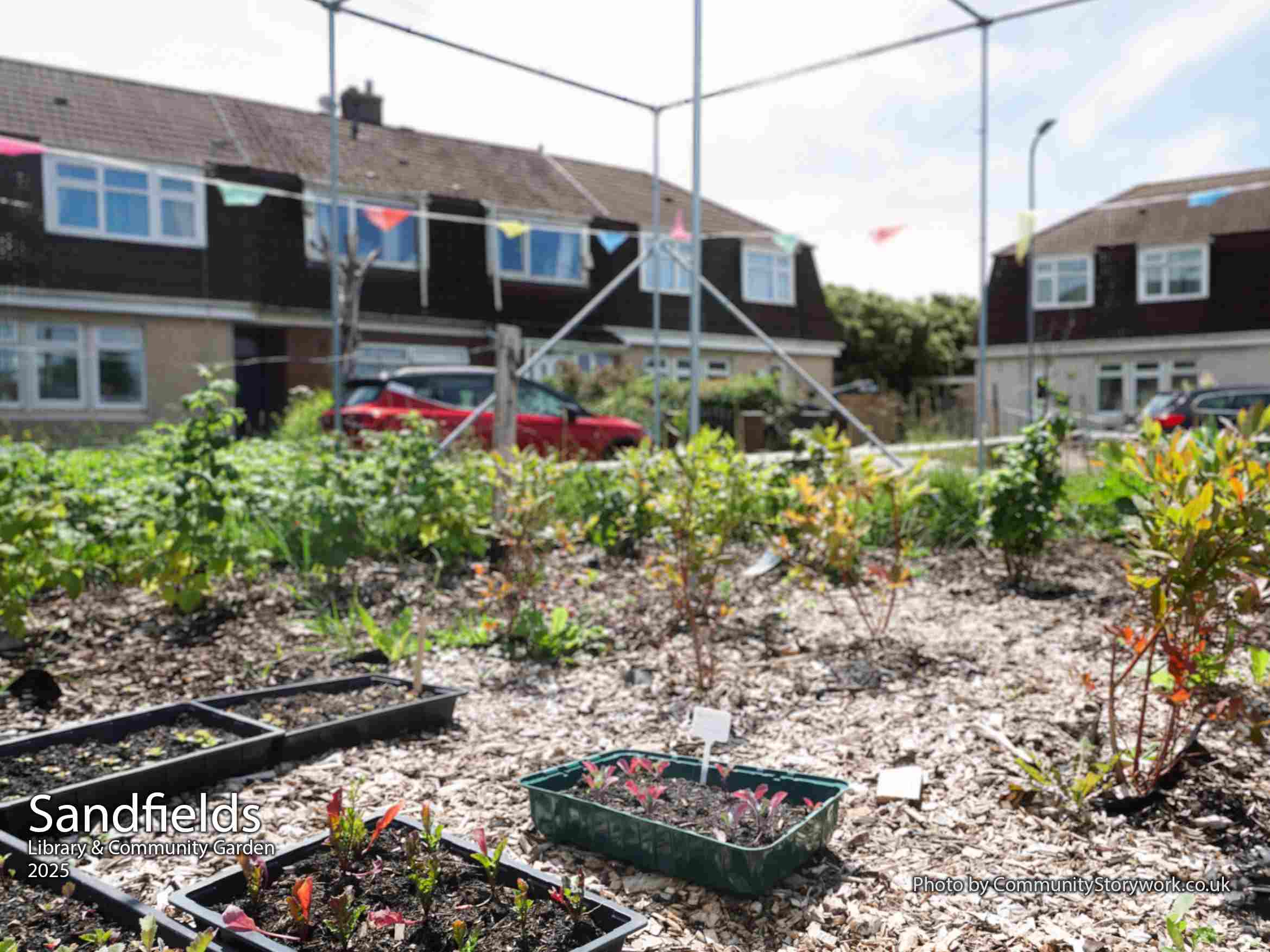 community garden