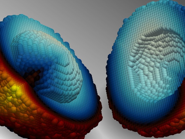 Sefydliad Zienkiewicz delwedd
