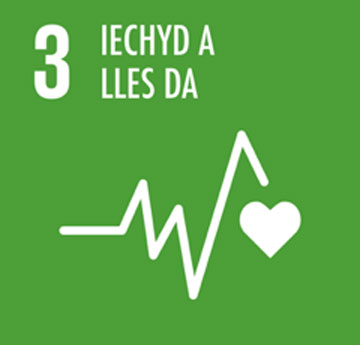 Iechyd a Iles da