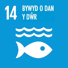 Goal 14 Life Below Water