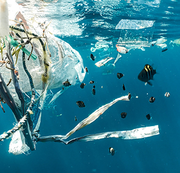 Plastic pollution in the ocean