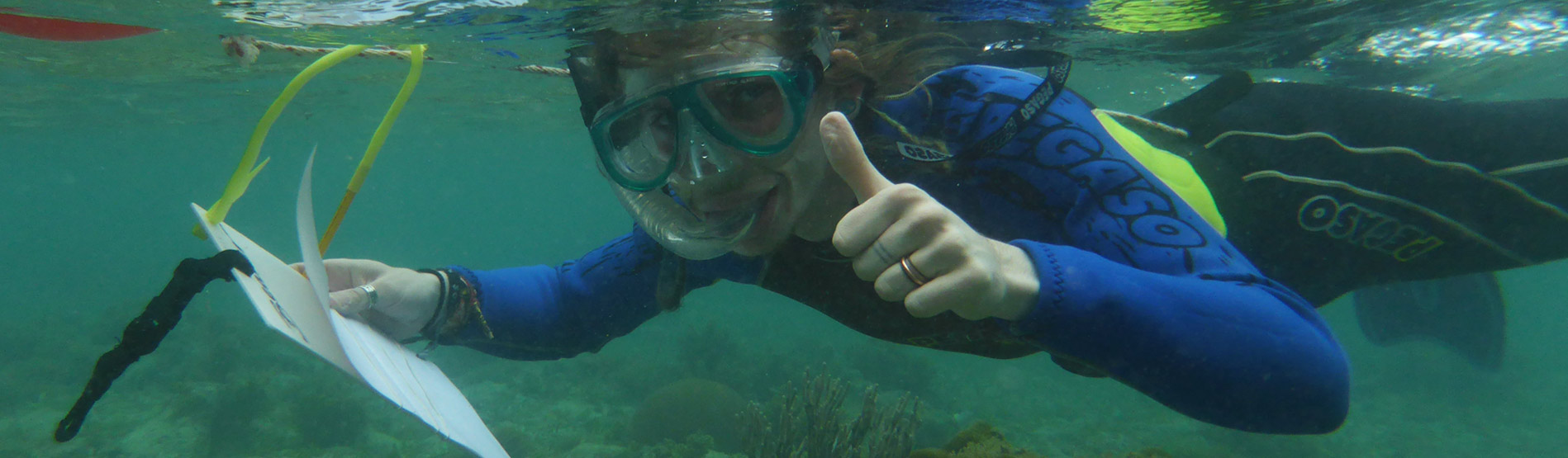 Student snorkling in Puerto Rico