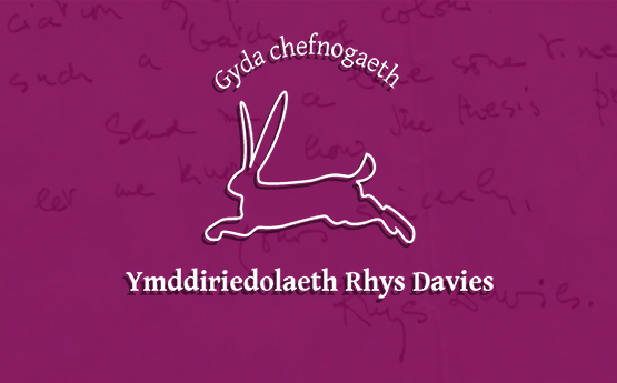 Cystadleuaeth Stori Fer Rhys Davies