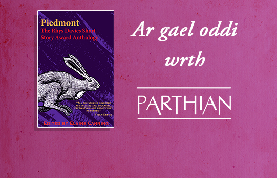 Front cover image of Blodeugerdd Gwobr Stori Fer Rhys Davies 2026