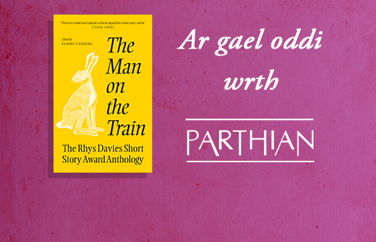 Front cover image of 'The Man on the Train'