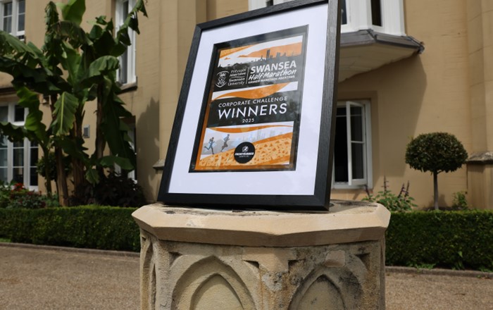 Tystysgrif wedi'i fframio ar blinth carreg y tu allan i'r adeilad