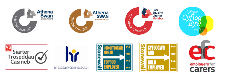 The HR logos for equality, race, LGBT, gender, carers in Welsh