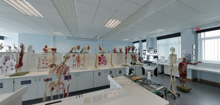 Labordy addysgu anatomeg gyda modelau sgerbydol ac anatomegol