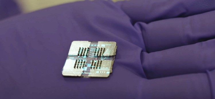 Semiconductor chip in gloved hand