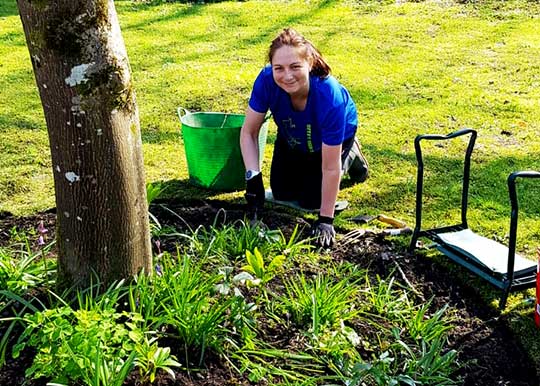 A grounds volunteer female wearing blue shirt planting