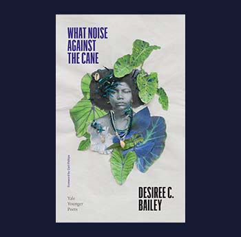 What Noise Against The Cane by Desiree C. Bailey (Yale University Press) 