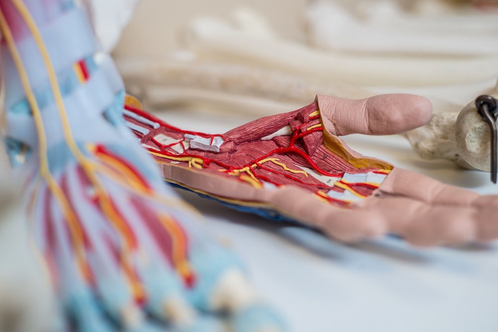 Osteopathy