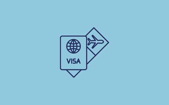 Visa icon