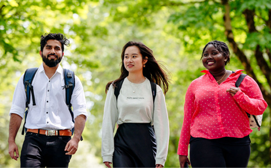 3 students walking through the woods
