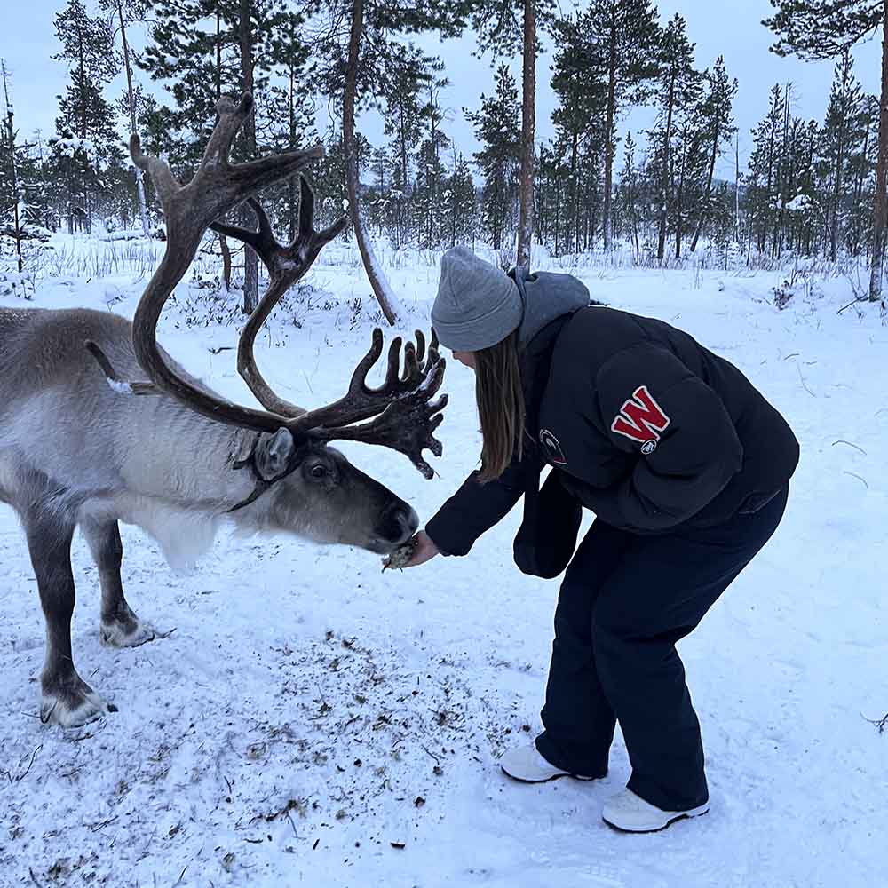 Charlotte feeding a reindeer