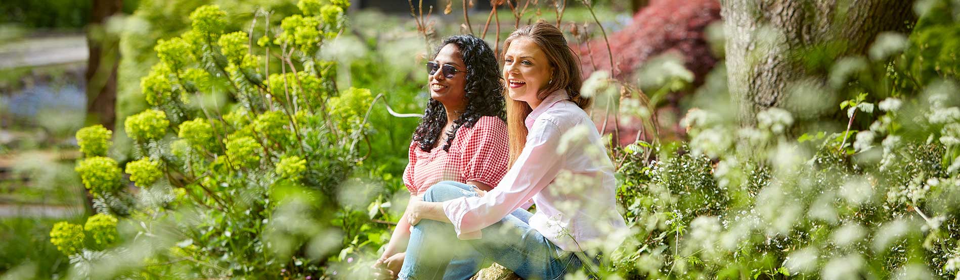 Two female students sitting down amongst the flowers in bloom on Singleton Campus.