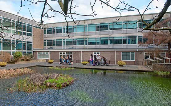 The pond at the Glyndwr Building
