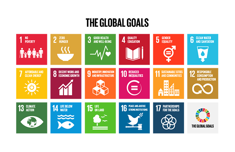 The United Nations Sustainable Development Goals Grid
