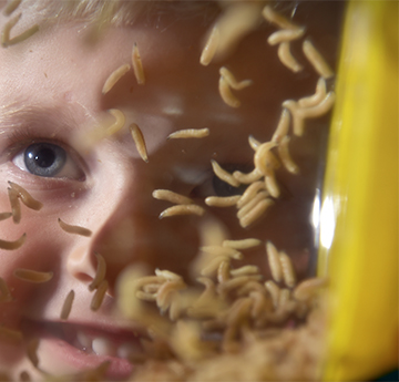 Child with maggots