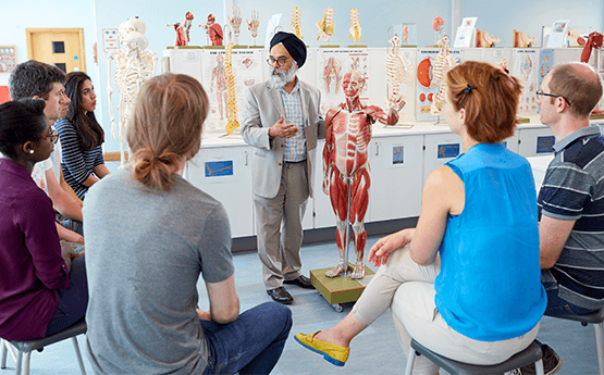 Graduate Entry Medicine Anatomy Teaching