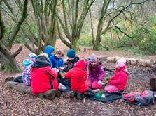Children from Crwys Primary having a lesson in woodland, as part of the school's outdoor learning